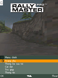 Rally Master 3D vh